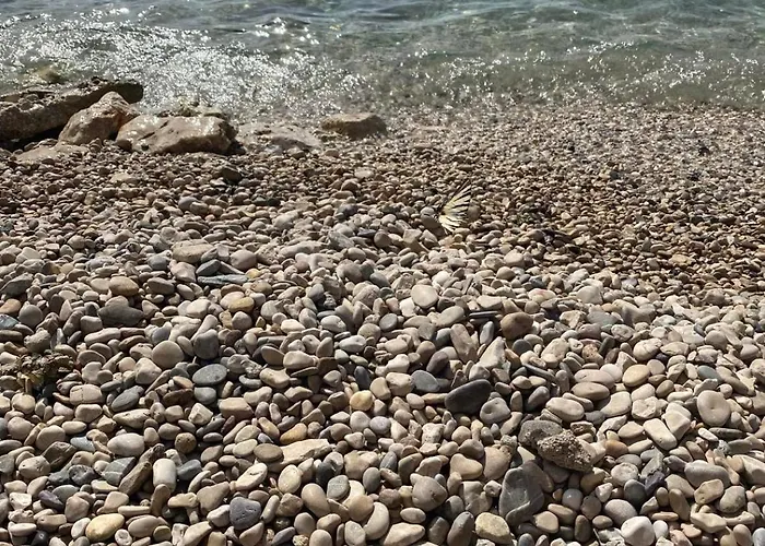 Sea - Wild Orange Dubrovnik *