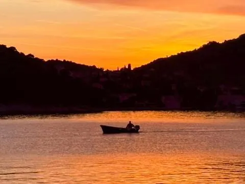 Sea - Wild Orange Dubrovnik Zaton (Dubrovnik-Neretva)