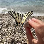 公寓 Sea - Wild Orange Dubrovnik