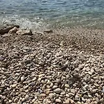 Sea - Wild Orange Dubrovnik *
