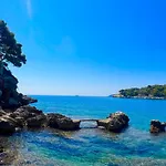 Sea - Wild Orange Dubrovnik * 扎通
