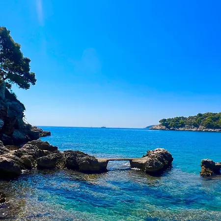 Sea - Wild Orange Dubrovnik * 자톤