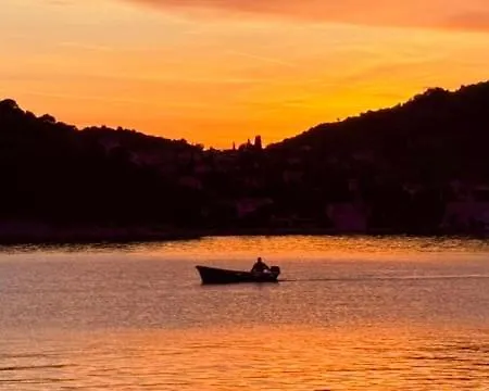 Sea - Wild Orange Dubrovnik Zaton (Dubrovnik-Neretva)