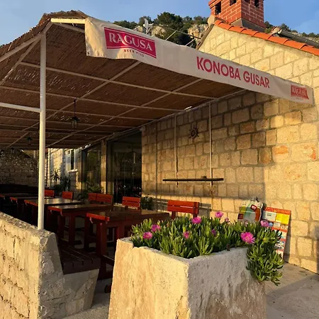 Sea - Wild Orange Dubrovnik Zaton