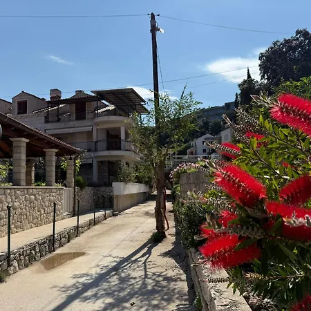 Sea - Wild Orange Dubrovnik