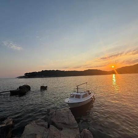 Sea - Wild Orange Dubrovnik Zaton (Dubrovnik-Neretva)